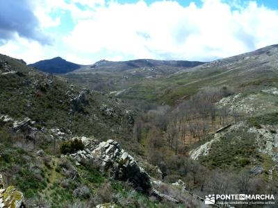 Sierra Alto Rey - Peña Mediodía; senderistas madrid; fruto del tejo;camino de santiago